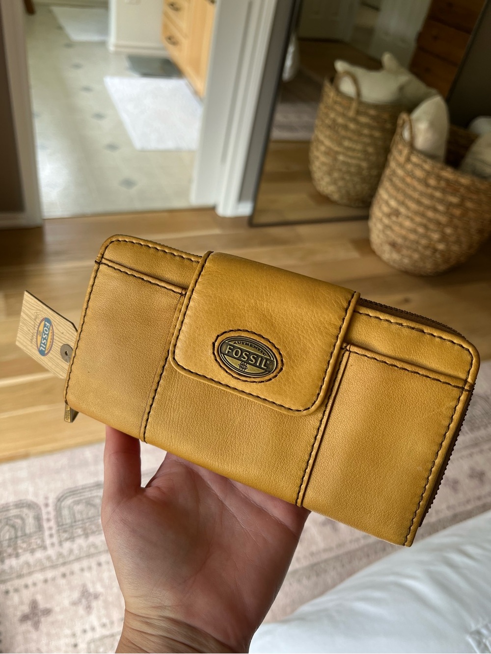 Fossil Explorer Clutch